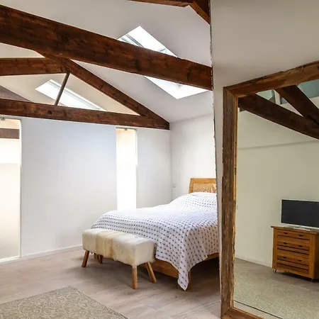 Apartment Luxery Loft